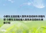 小鹏车主回应撞人致死未自动刹车详细内容 小鹏车主回应撞人致死未自动刹车具体介绍
