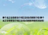 要个龙之谷各职业介绍以及加点谢谢介绍(要个龙之谷各职业介绍以及加点谢谢详细情况如何)