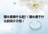 猎头是做什么的?（猎头是干什么的简介介绍）
