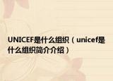 UNICEF是什么组织（unicef是什么组织简介介绍）