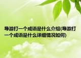 导游打一个成语是什么介绍(导游打一个成语是什么详细情况如何)