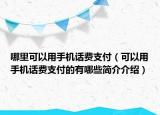 哪里可以用手机话费支付（可以用手机话费支付的有哪些简介介绍）