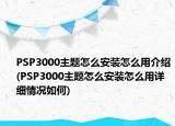 PSP3000主题怎么安装怎么用介绍(PSP3000主题怎么安装怎么用详细情况如何)
