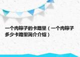 一个肉粽子的卡路里（一个肉粽子多少卡路里简介介绍）