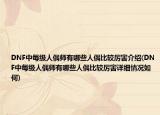 DNF中每级人偶师有哪些人偶比较厉害介绍(DNF中每级人偶师有哪些人偶比较厉害详细情况如何)