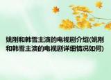 姚刚和韩雪主演的电视剧介绍(姚刚和韩雪主演的电视剧详细情况如何)