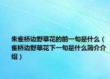 朱雀桥边野草花的前一句是什么（雀桥边野草花下一句是什么简介介绍）