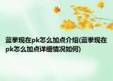 蓝拳现在pk怎么加点介绍(蓝拳现在pk怎么加点详细情况如何)