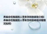 养猫会给独居的人带来怎样的体验介绍(养猫会给独居的人带来怎样的体验详细情况如何)
