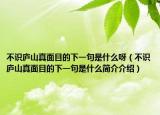 不识庐山真面目的下一句是什么呀（不识庐山真面目的下一句是什么简介介绍）