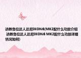 请教各位达人达尼IKON6(MK2配什么功放介绍 请教各位达人达尼IKON6 MK2配什么功放详细情况如何)