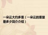 一朵云大约多重（一朵云的重量是多少简介介绍）