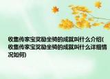 收集传家宝奖励坐骑的成就叫什么介绍(收集传家宝奖励坐骑的成就叫什么详细情况如何)