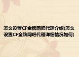 怎么设置CF金牌网吧代理介绍(怎么设置CF金牌网吧代理详细情况如何)