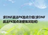 求DNF战法PK加点介绍(求DNF战法PK加点详细情况如何)