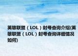英雄联盟（LOL）封号查询介绍(英雄联盟（LOL）封号查询详细情况如何)