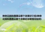 神奇花园和薇薇朵那个效果好介绍(神奇花园和薇薇朵那个效果好详细情况如何)