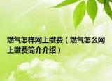 燃气怎样网上缴费（燃气怎么网上缴费简介介绍）
