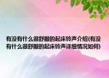 有没有什么很舒服的起床铃声介绍(有没有什么很舒服的起床铃声详细情况如何)