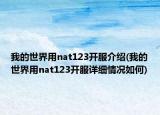 我的世界用nat123开服介绍(我的世界用nat123开服详细情况如何)