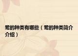 鹭的种类有哪些（鹭的种类简介介绍）
