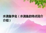 水滴鱼学名（水滴鱼的特点简介介绍）