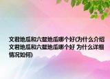 文君地瓜和六鳌地瓜哪个好(为什么介绍 文君地瓜和六鳌地瓜哪个好 为什么详细情况如何)