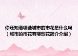 你还知道哪些城市的市花是什么吗（城市的市花有哪些花简介介绍）