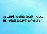 qq三国张飞精元怎么获得（QQ三国小偷精元怎么得的简介介绍）