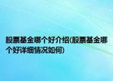 股票基金哪个好介绍(股票基金哪个好详细情况如何)