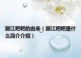 丽江粑粑的由来（丽江粑粑是什么简介介绍）