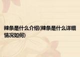 辣条是什么介绍(辣条是什么详细情况如何)