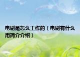电刷是怎么工作的（电刷有什么用简介介绍）