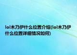lol木乃伊什么位置介绍(lol木乃伊什么位置详细情况如何)