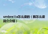 umbreⅱa怎么读的（騳怎么读简介介绍）