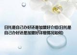 日托是自己办好还是加盟好介绍(日托是自己办好还是加盟好详细情况如何)
