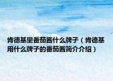 肯德基里番茄酱什么牌子（肯德基用什么牌子的番茄酱简介介绍）