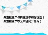 桑蚕丝丝巾与真丝丝巾有何区别（桑蚕丝丝巾怎么辨别简介介绍）