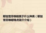 耶加雪菲咖啡属于什么种类（耶加雪菲咖啡特点简介介绍）