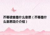 芥蒂读音是什么意思（芥蒂是什么意思简介介绍）