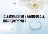 文本框样式在哪（如何设置文本框样式简介介绍）