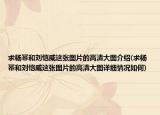 求杨幂和刘恺威这张图片的高清大图介绍(求杨幂和刘恺威这张图片的高清大图详细情况如何)