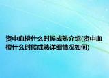 资中血橙什么时候成熟介绍(资中血橙什么时候成熟详细情况如何)