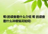 荀(的读音是什么介绍 荀 的读音是什么详细情况如何)