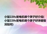 小型220v发电机哪个牌子好介绍(小型220v发电机哪个牌子好详细情况如何)