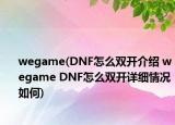 wegame(DNF怎么双开介绍 wegame DNF怎么双开详细情况如何)