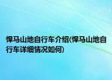 悍马山地自行车介绍(悍马山地自行车详细情况如何)