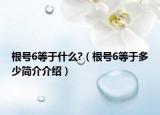 根号6等于什么?（根号6等于多少简介介绍）