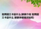 劲舞团三卡是什么(谢谢介绍 劲舞团三卡是什么 谢谢详细情况如何)
