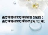 南方蟑螂和北方蟑螂有什么区别（南方蟑螂和北方蟑螂对比简介介绍）